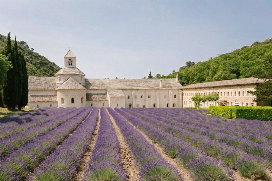 Fotoreis naar de Provence omgeving Luberon Abdij van Senanque in de lavendel periode.